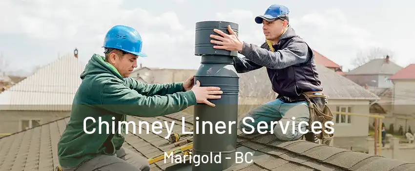  Chimney Liner Services Marigold - BC