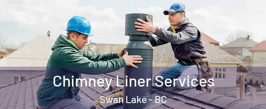 Chimney Liner Services Swan Lake - BC