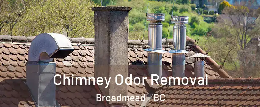  Chimney Odor Removal Broadmead - BC