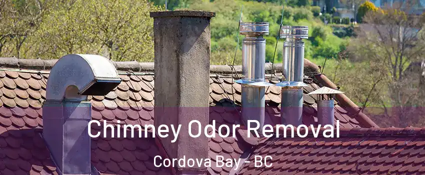  Chimney Odor Removal Cordova Bay - BC