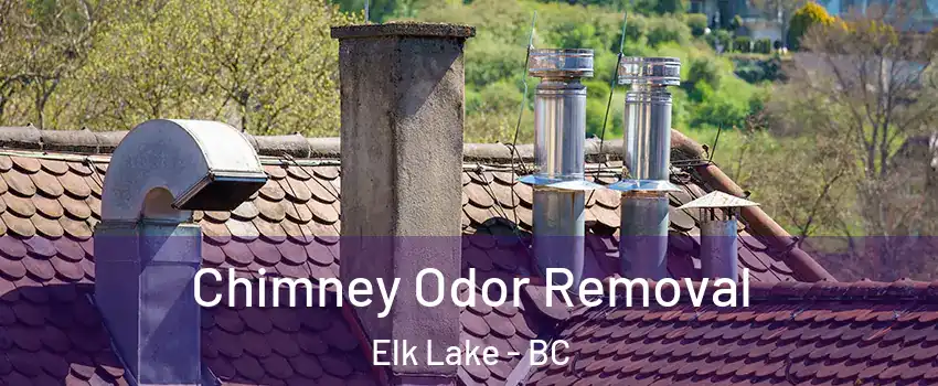  Chimney Odor Removal Elk Lake - BC