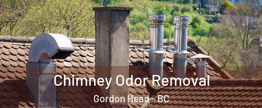  Chimney Odor Removal Gordon Head - BC
