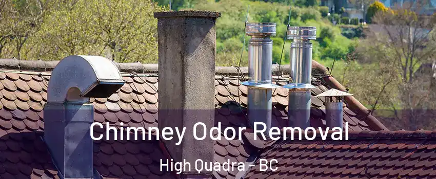  Chimney Odor Removal High Quadra - BC