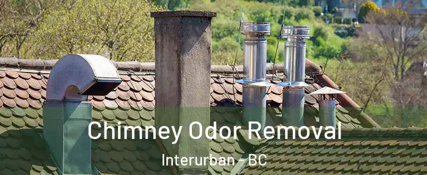  Chimney Odor Removal Interurban - BC