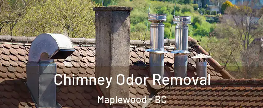  Chimney Odor Removal Maplewood - BC