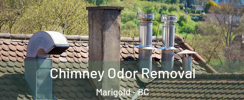  Chimney Odor Removal Marigold - BC