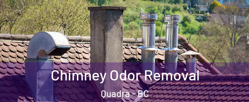  Chimney Odor Removal Quadra - BC