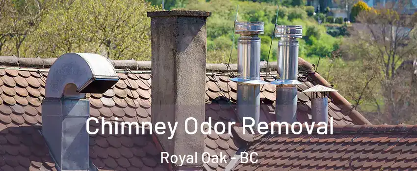  Chimney Odor Removal Royal Oak - BC