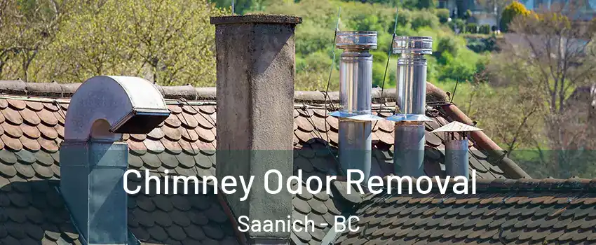  Chimney Odor Removal Saanich - BC