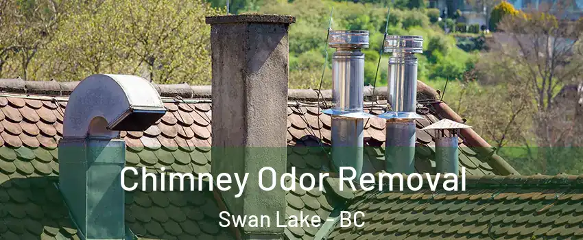 Chimney Odor Removal Swan Lake - BC
