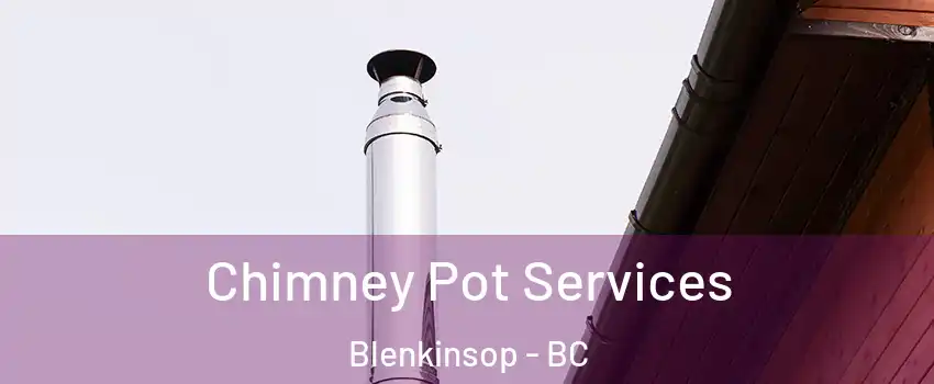  Chimney Pot Services Blenkinsop - BC