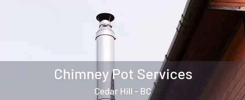  Chimney Pot Services Cedar Hill - BC