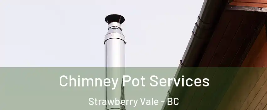  Chimney Pot Services Strawberry Vale - BC
