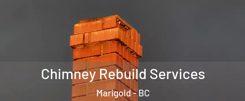  Chimney Rebuild Services Marigold - BC