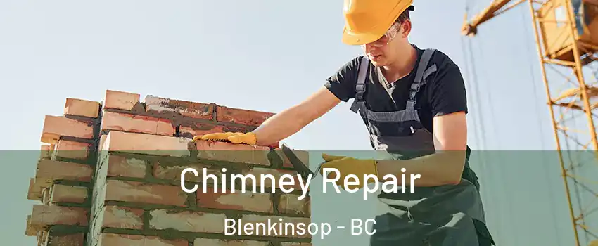  Chimney Repair Blenkinsop - BC