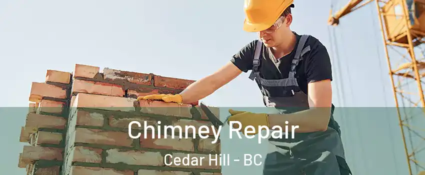  Chimney Repair Cedar Hill - BC