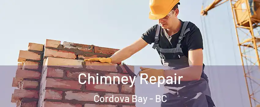  Chimney Repair Cordova Bay - BC
