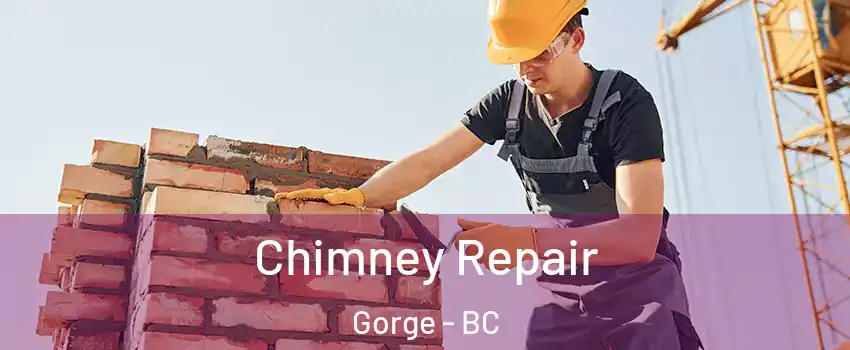  Chimney Repair Gorge - BC