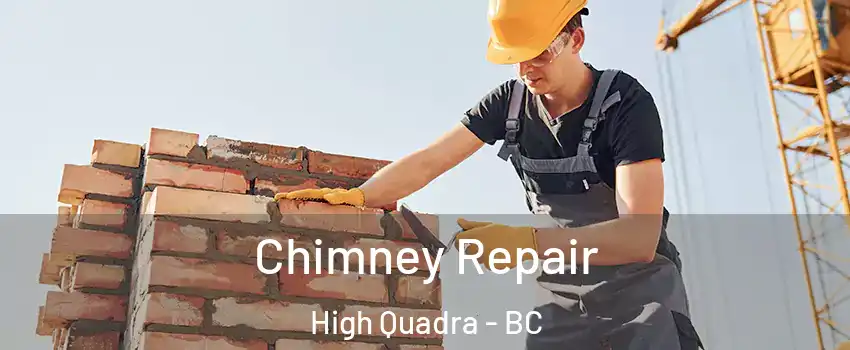  Chimney Repair High Quadra - BC