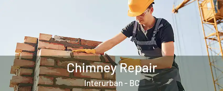  Chimney Repair Interurban - BC
