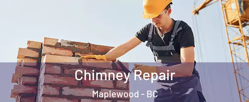  Chimney Repair Maplewood - BC