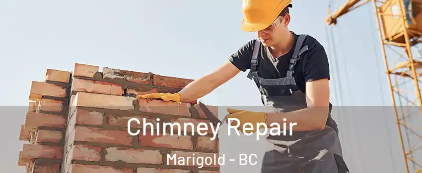  Chimney Repair Marigold - BC
