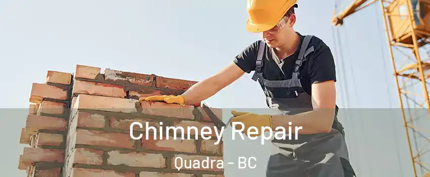  Chimney Repair Quadra - BC