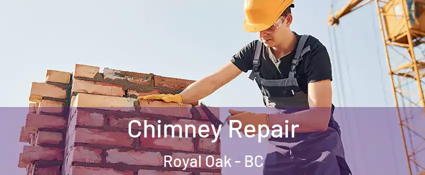  Chimney Repair Royal Oak - BC