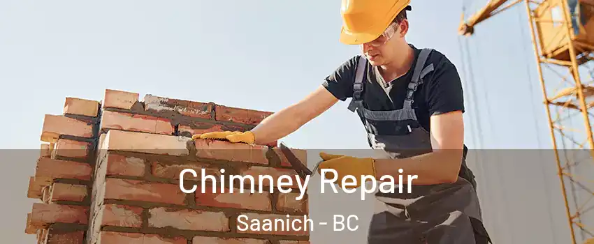 Chimney Repair Saanich - BC