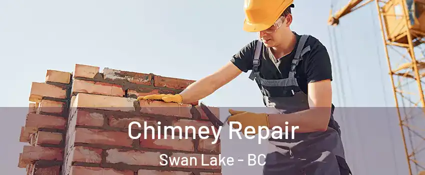  Chimney Repair Swan Lake - BC