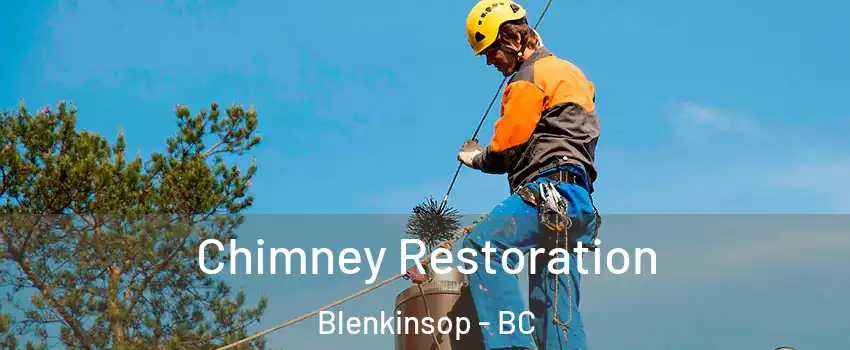Chimney Restoration Blenkinsop - BC