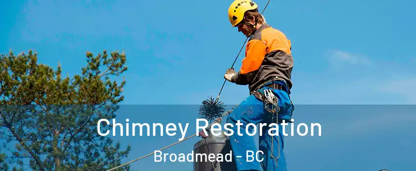  Chimney Restoration Broadmead - BC