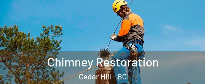  Chimney Restoration Cedar Hill - BC