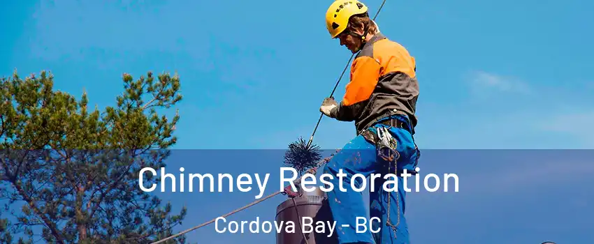  Chimney Restoration Cordova Bay - BC