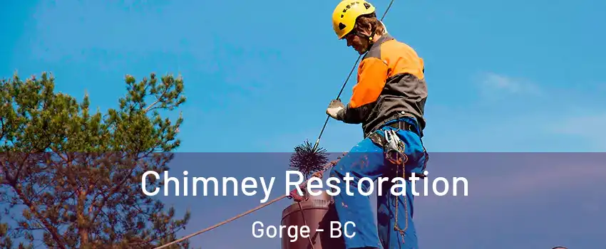  Chimney Restoration Gorge - BC