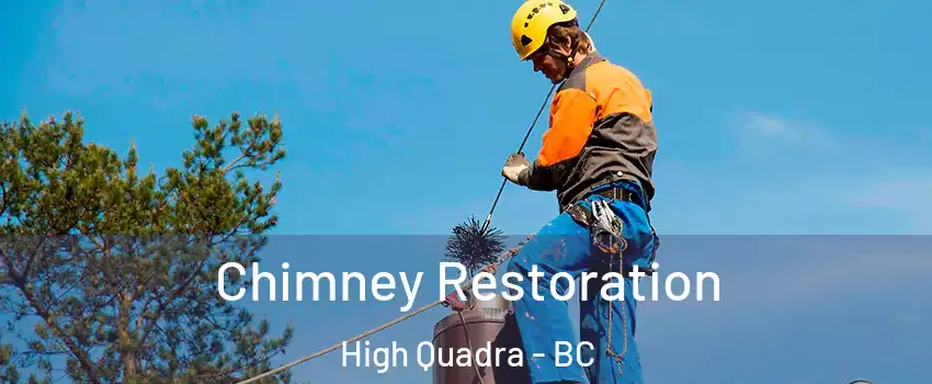  Chimney Restoration High Quadra - BC