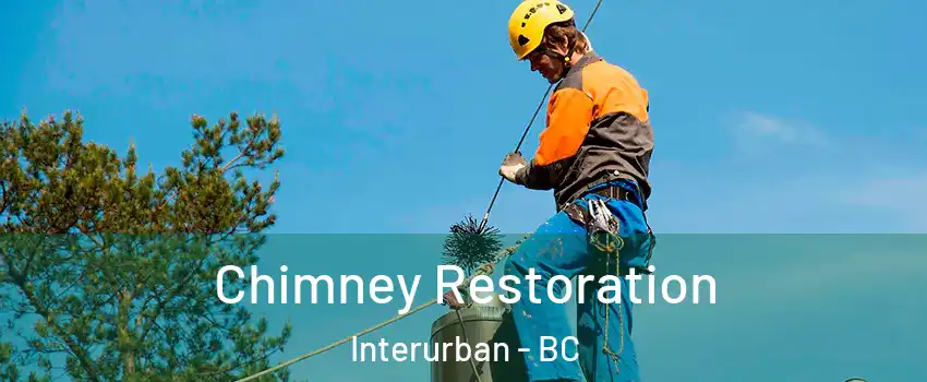  Chimney Restoration Interurban - BC