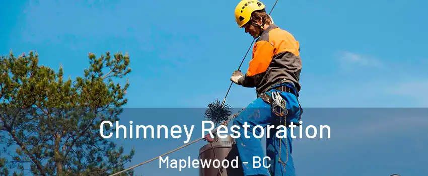  Chimney Restoration Maplewood - BC