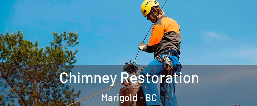 Chimney Restoration Marigold - BC