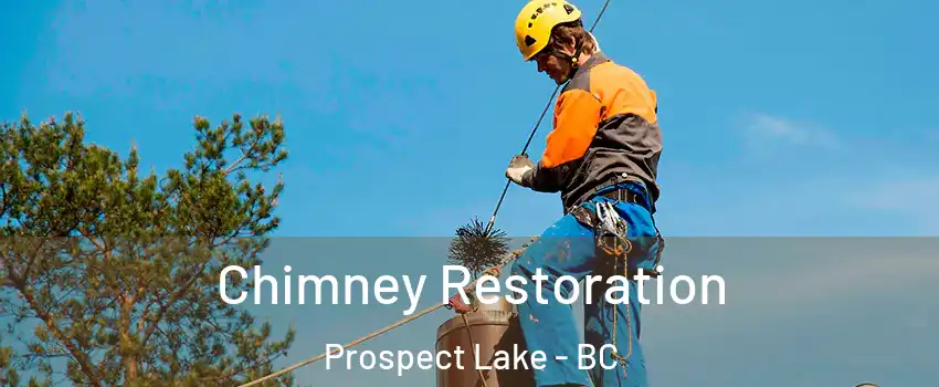  Chimney Restoration Prospect Lake - BC