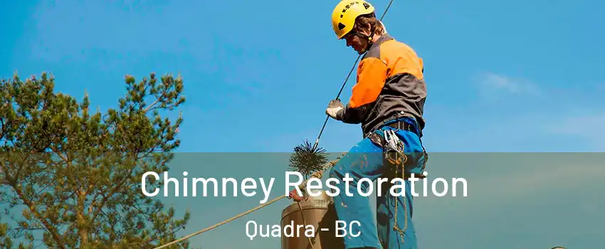  Chimney Restoration Quadra - BC
