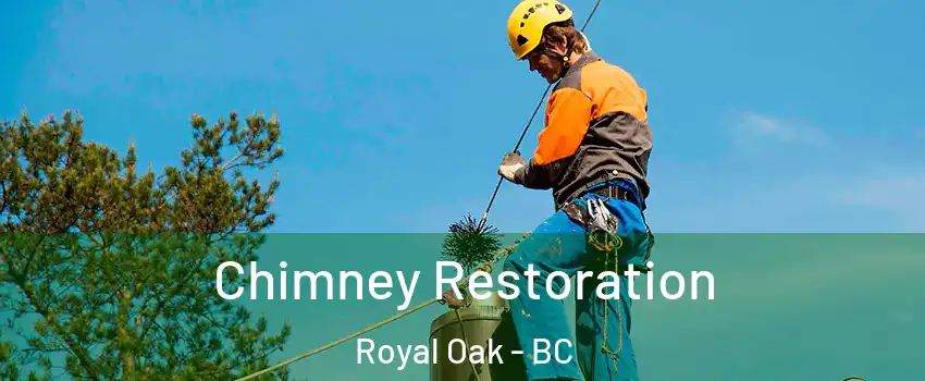  Chimney Restoration Royal Oak - BC