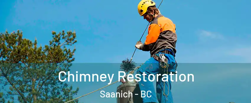  Chimney Restoration Saanich - BC