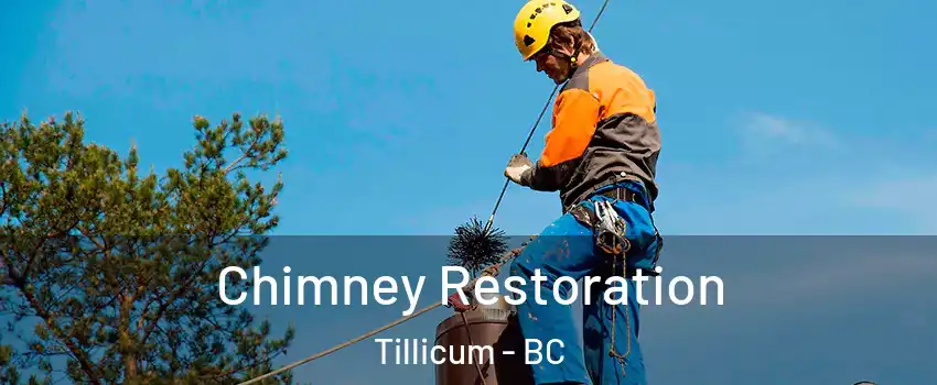 Chimney Restoration Tillicum - BC