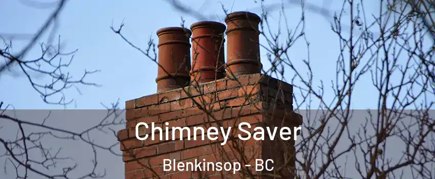  Chimney Saver Blenkinsop - BC