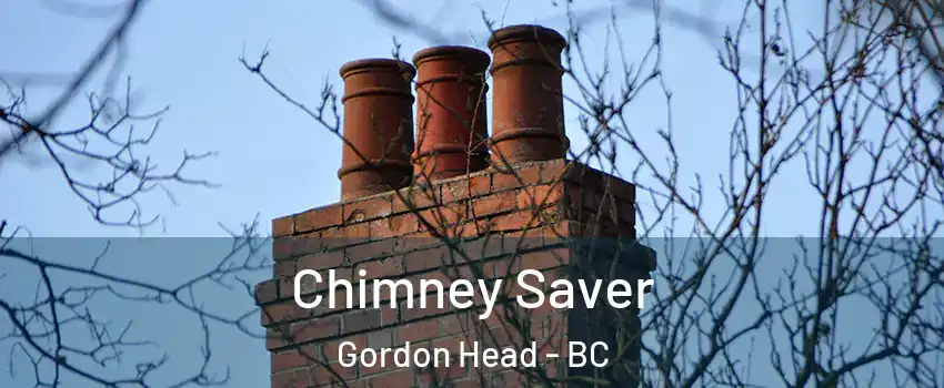  Chimney Saver Gordon Head - BC