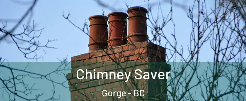  Chimney Saver Gorge - BC