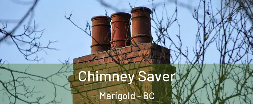  Chimney Saver Marigold - BC