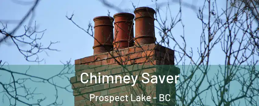  Chimney Saver Prospect Lake - BC