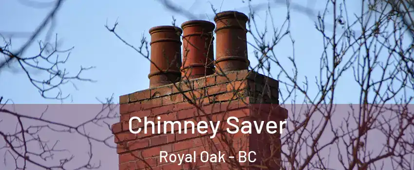  Chimney Saver Royal Oak - BC